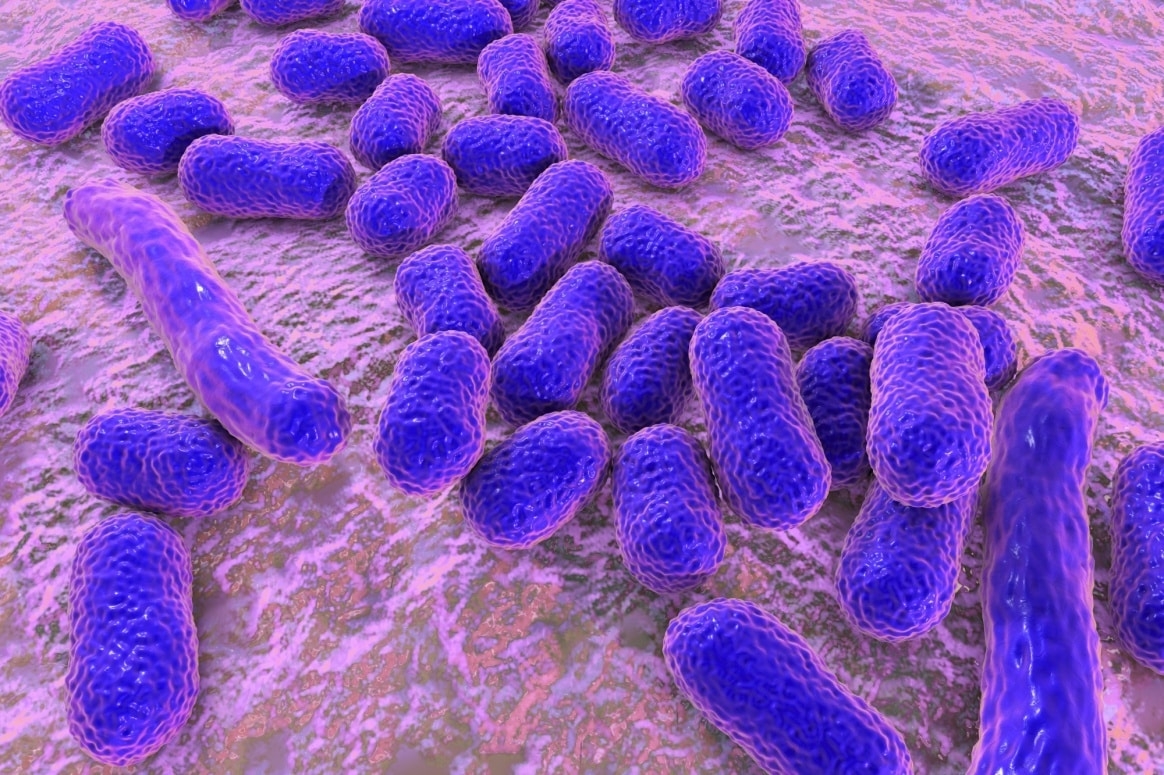 zosorabalbin أول مضاد حيوي ضد بكتيريا تهدد البشريّة