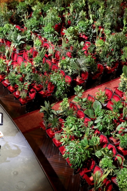 barcelona opera with plant 2