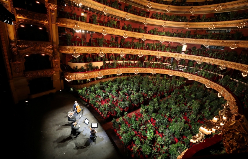 barcelona opera with plant cov