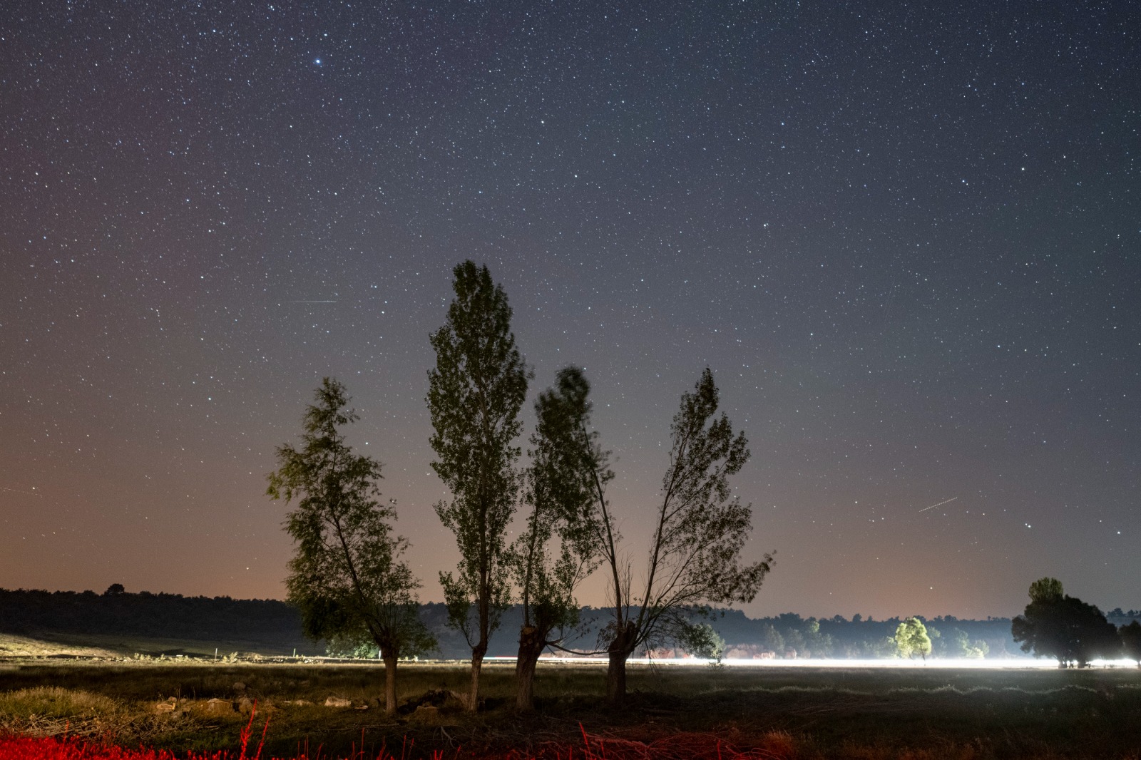 WhatsApp Image 2023-08-15 at 4