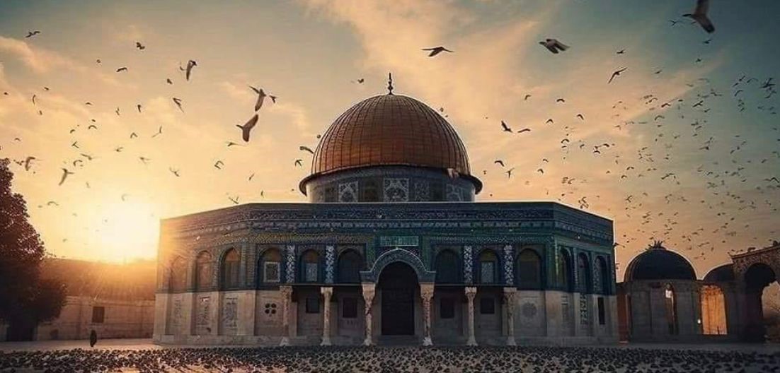 WhatsApp Image 2023-10-10 at 4