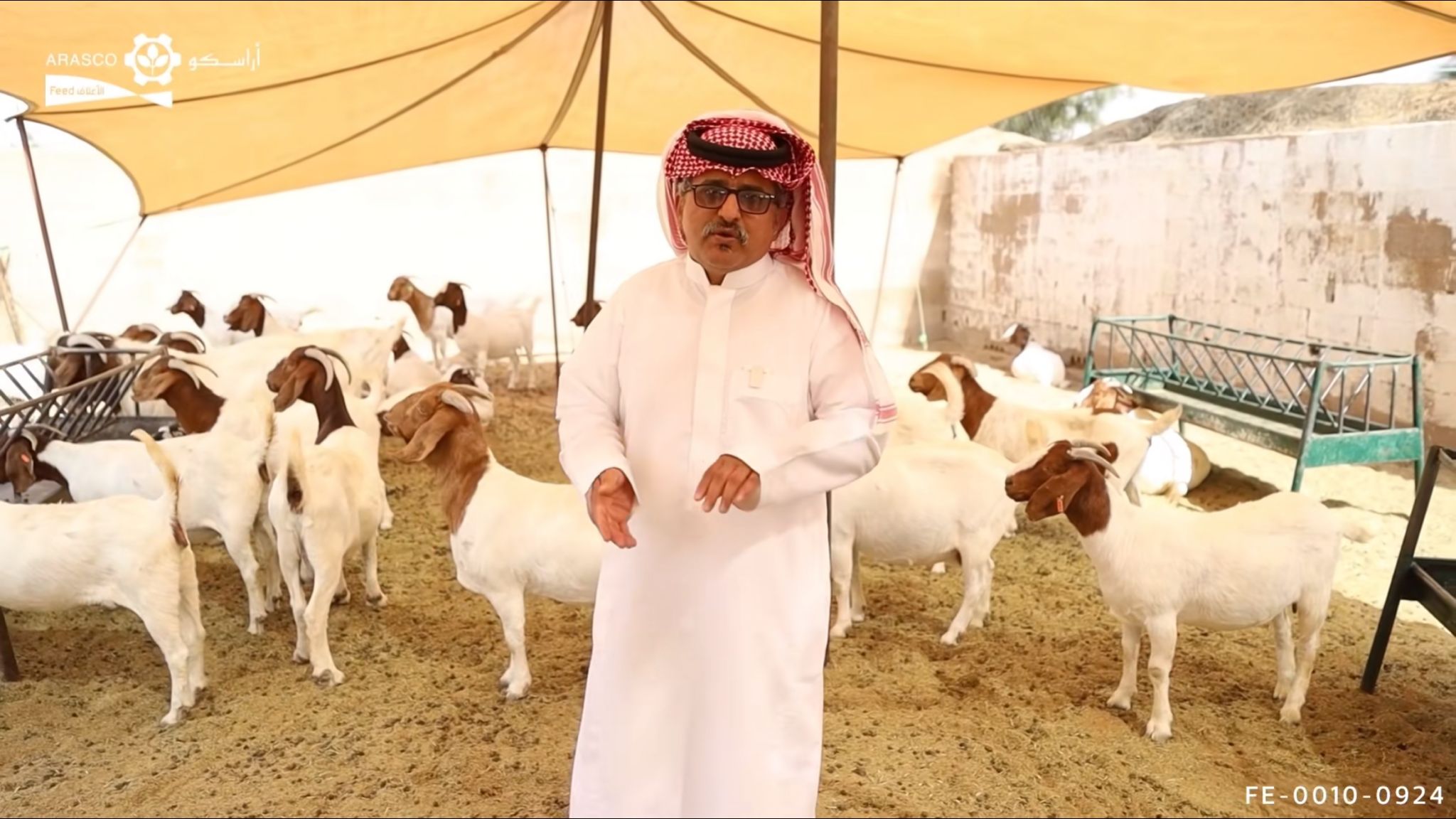 WhatsApp Image 2024-12-11 at 3