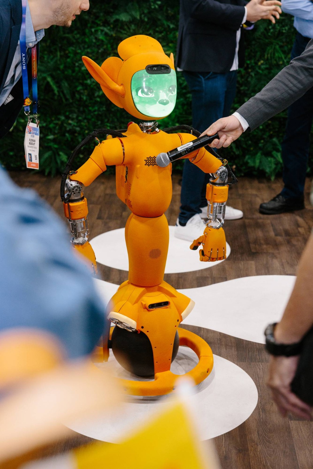 WhatsApp Image 2025-01-29 at 9