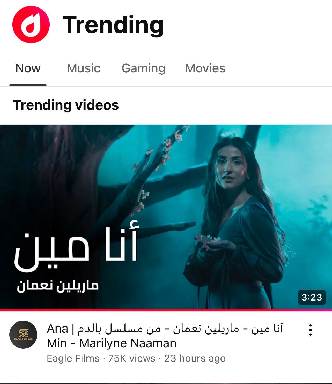 WhatsApp Image 2025-02-17 at 12