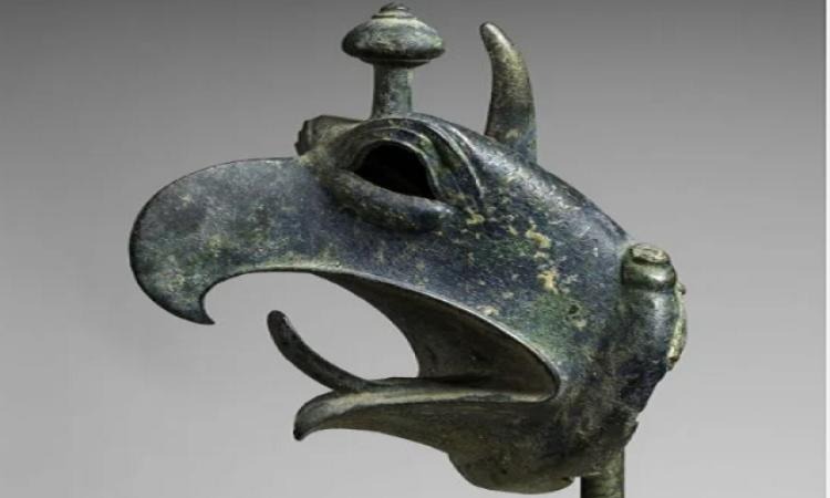 WhatsApp Image 2025-02-26 at 9