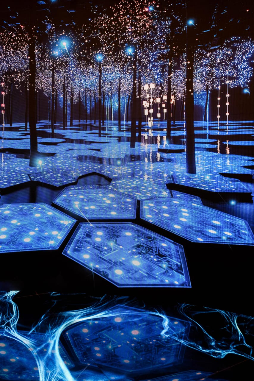 WhatsApp Image 2025-04-10 at 12