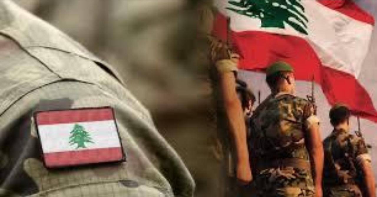 WhatsApp Image 2025-08-01 at 6